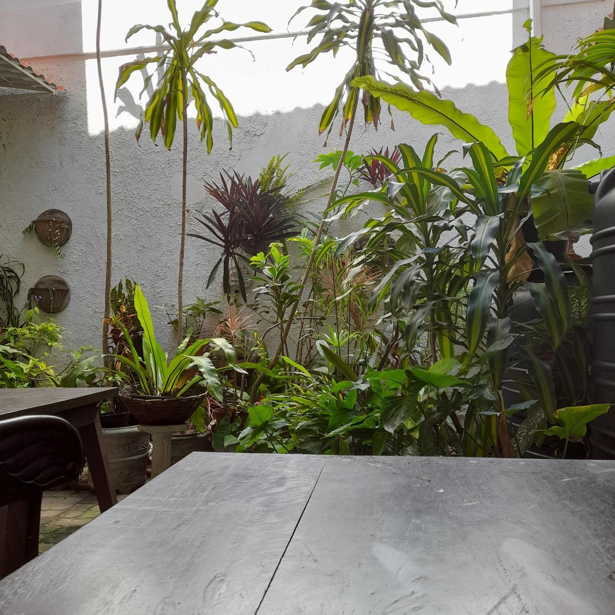 Shoba Traveller'S Tree Homes Stay Galle Luaran gambar