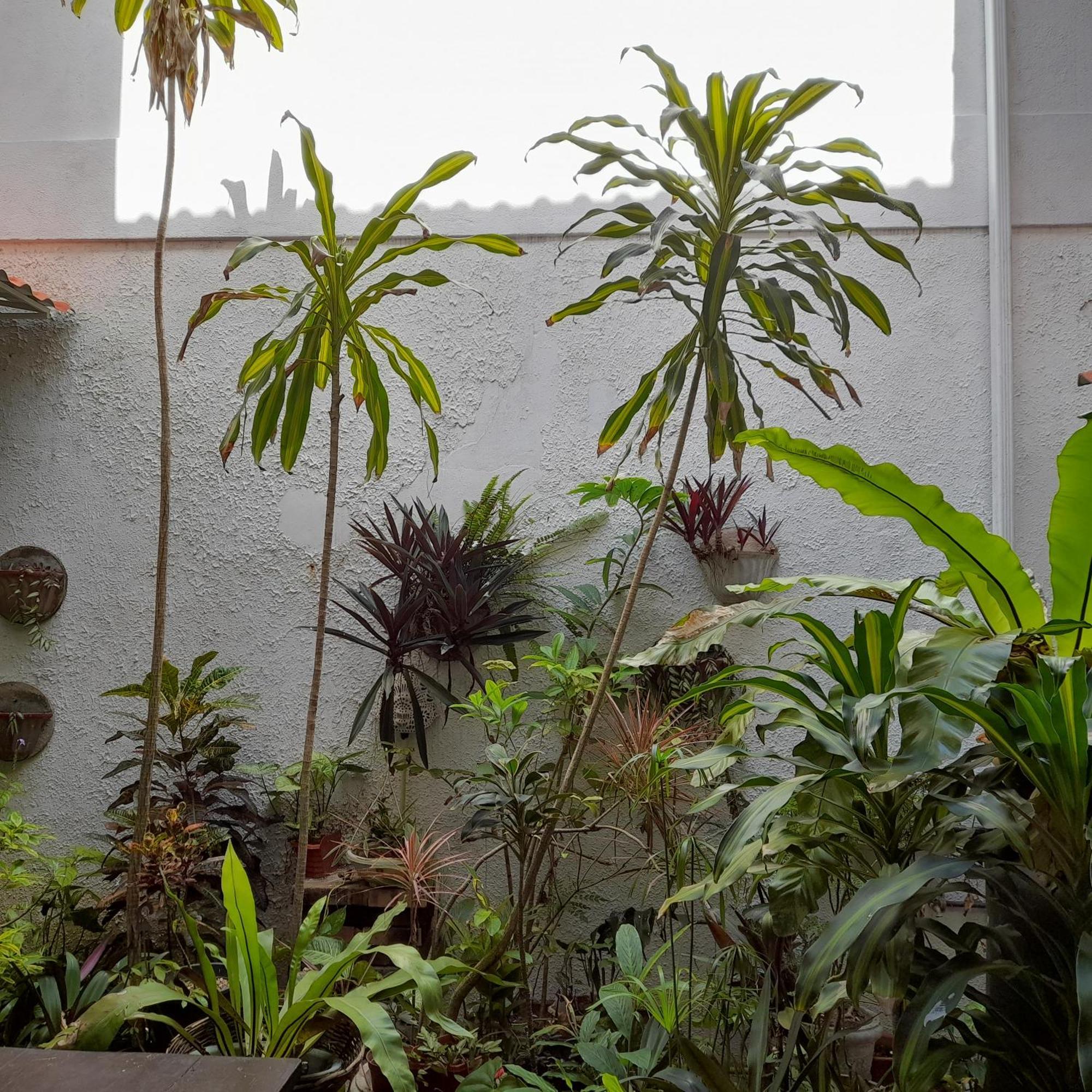 Shoba Traveller'S Tree Homes Stay Galle Luaran gambar
