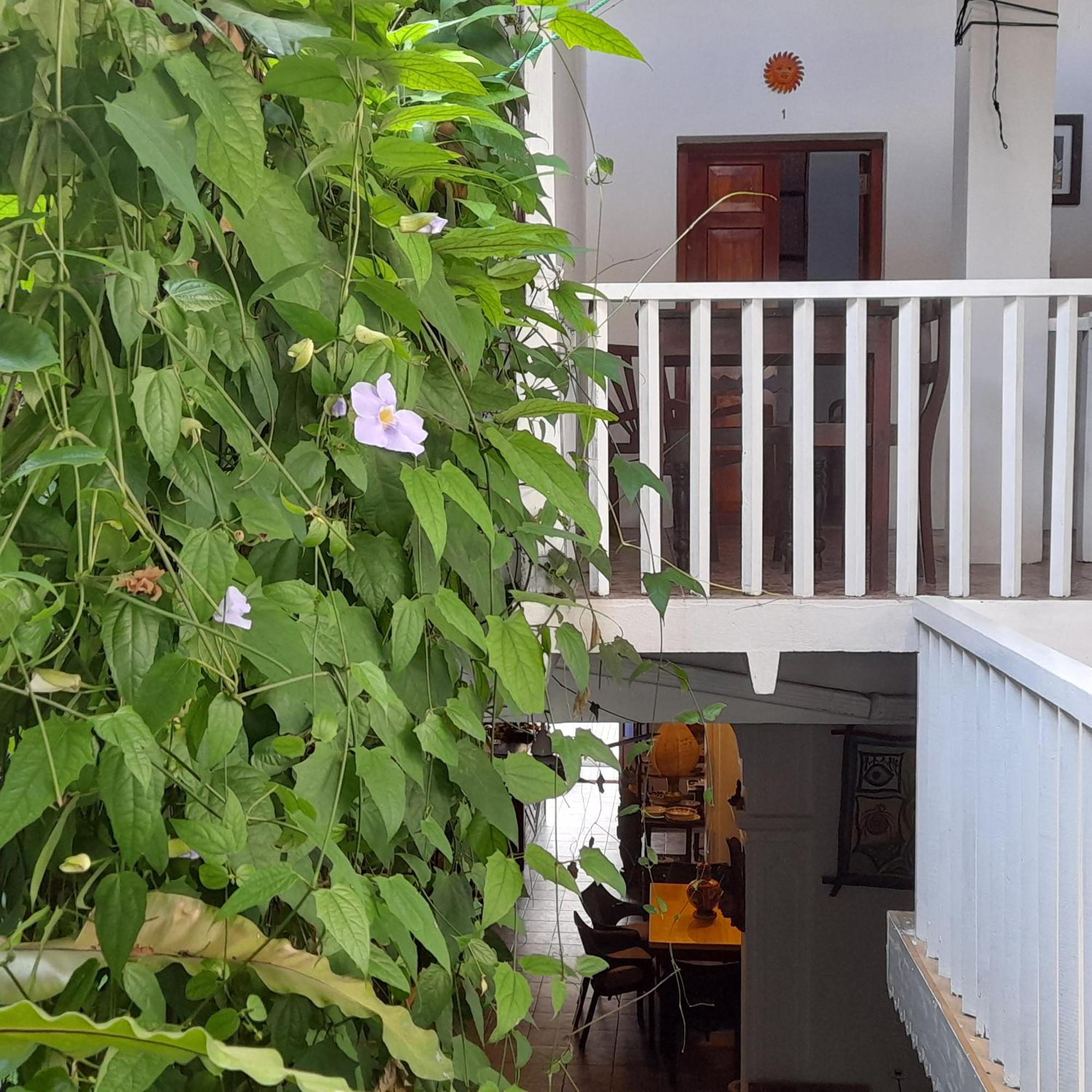 Shoba Traveller'S Tree Homes Stay Galle Luaran gambar