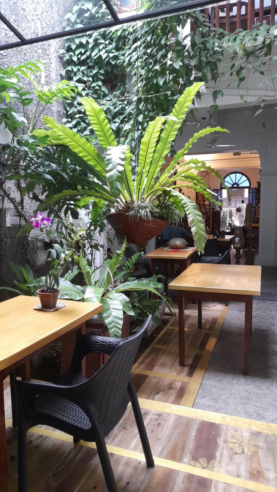 Shoba Traveller'S Tree Homes Stay Galle Luaran gambar